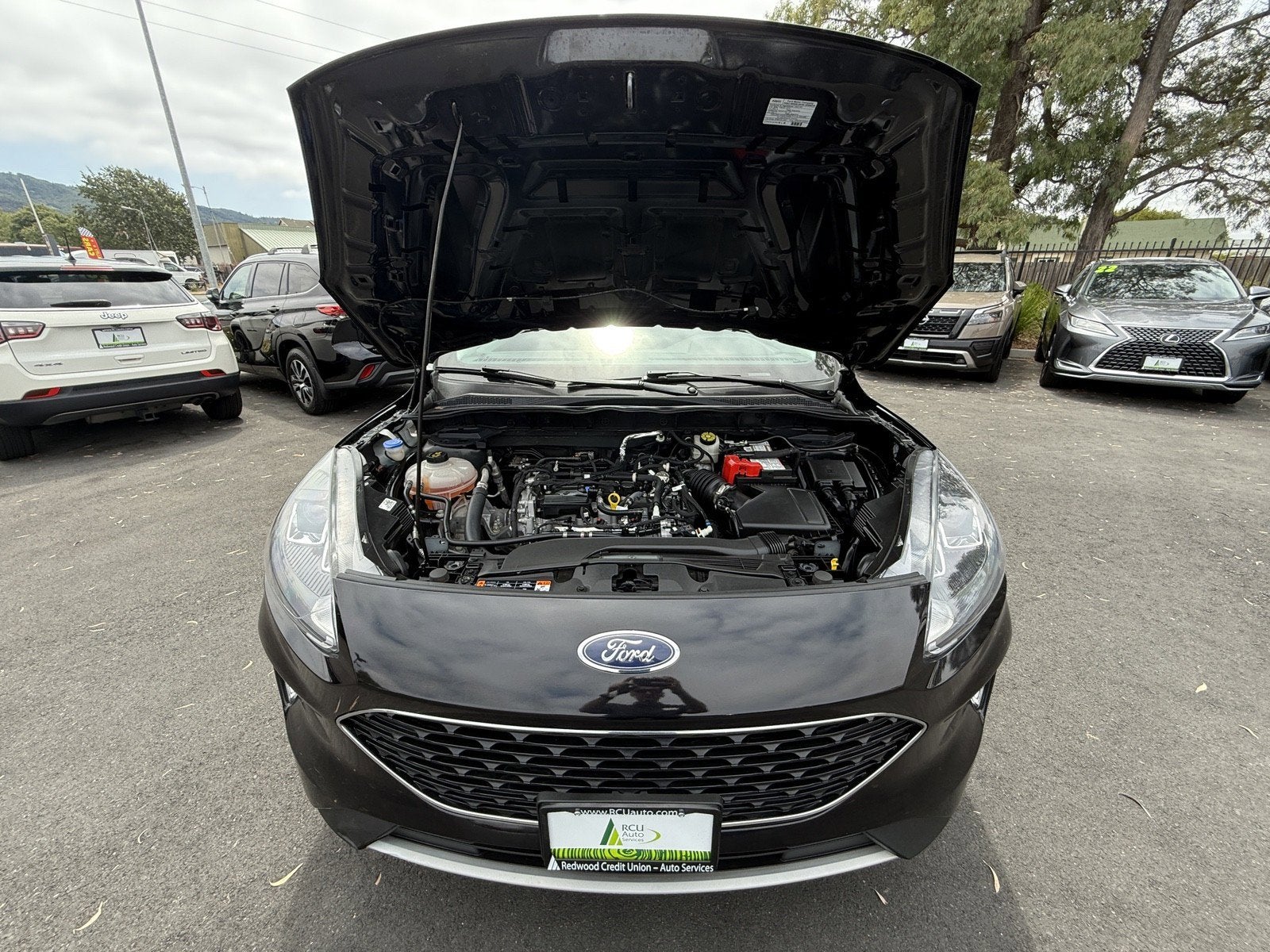 2022 Ford Escape SEL