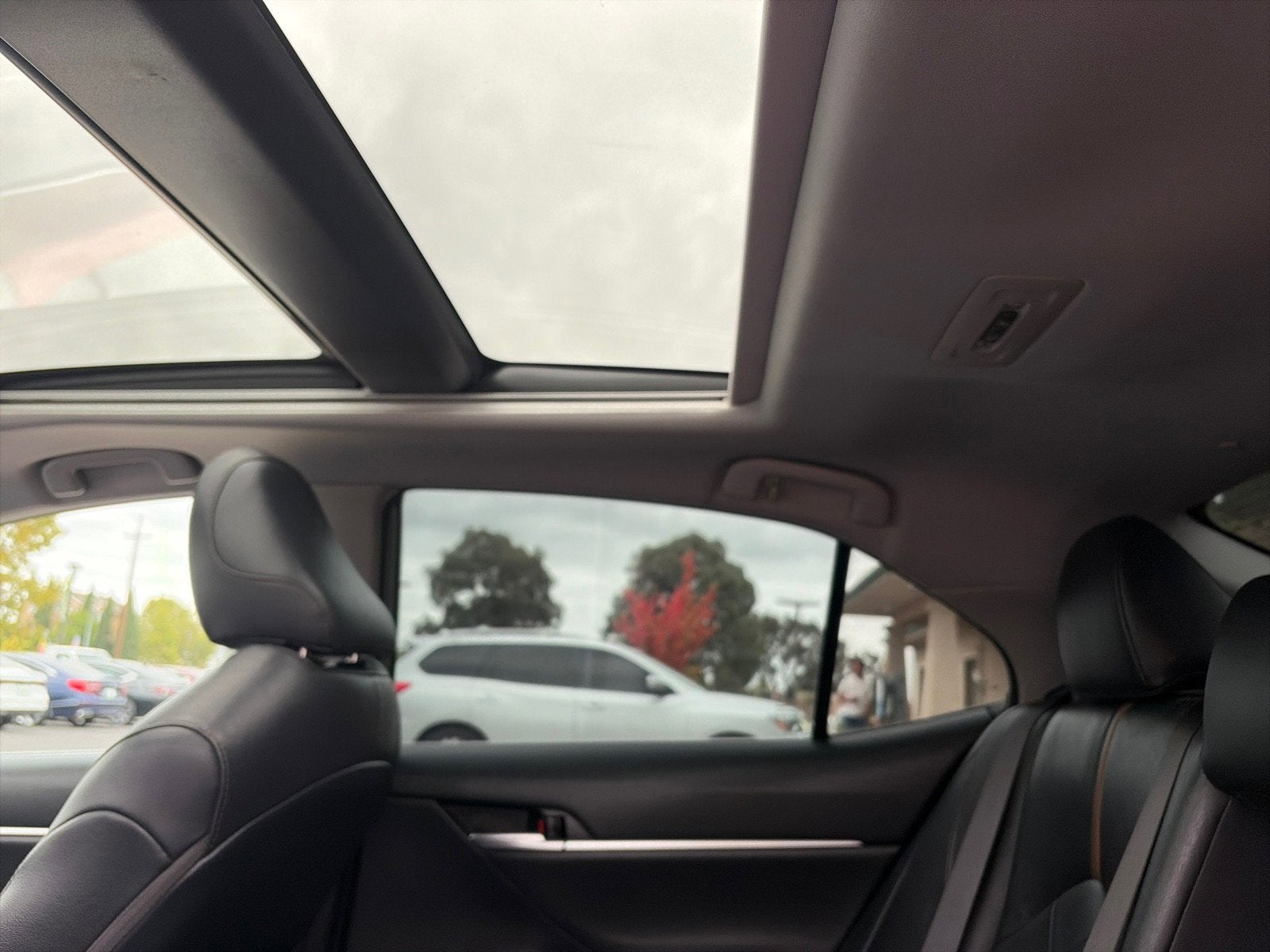 2019 Toyota Camry XLE V6