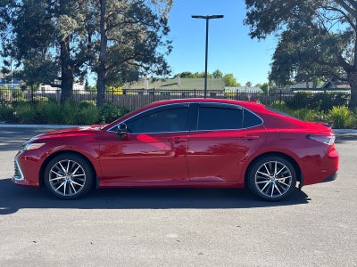 2024 Toyota Camry Hybrid XLE
