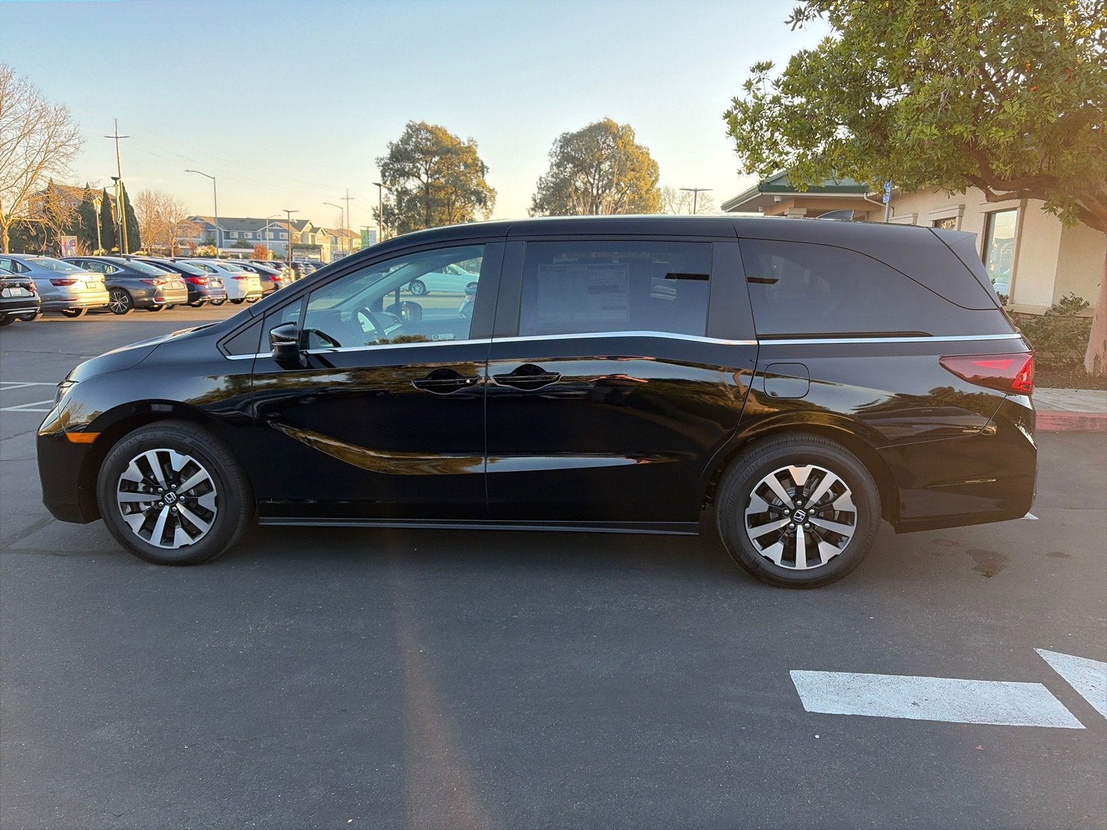 2025 Honda Odyssey EX-L