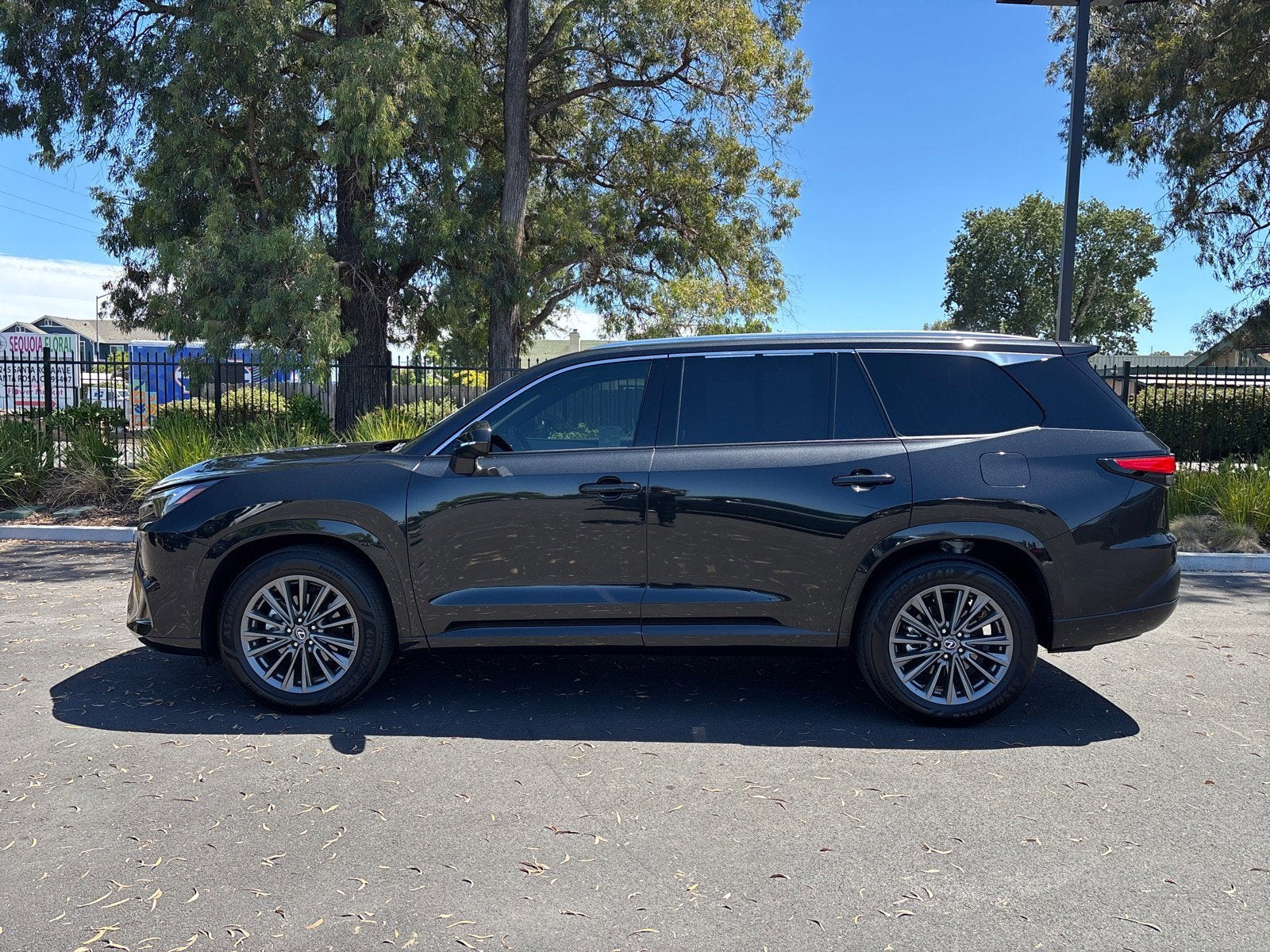 2025 Lexus TX TX 350