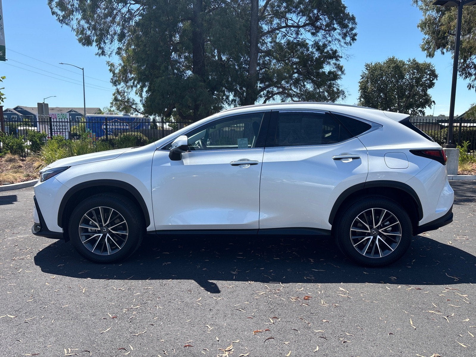 2024 Lexus NX NX 350h Premium