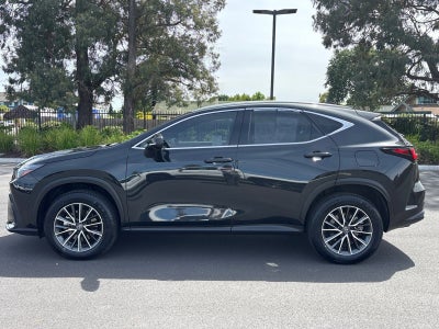 2024 Lexus NX NX 350h Premium